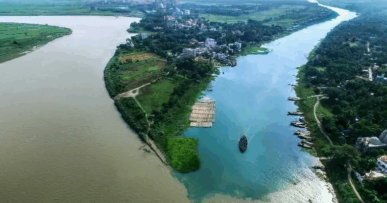 Screenshot 2025 11 25 140937 768x402