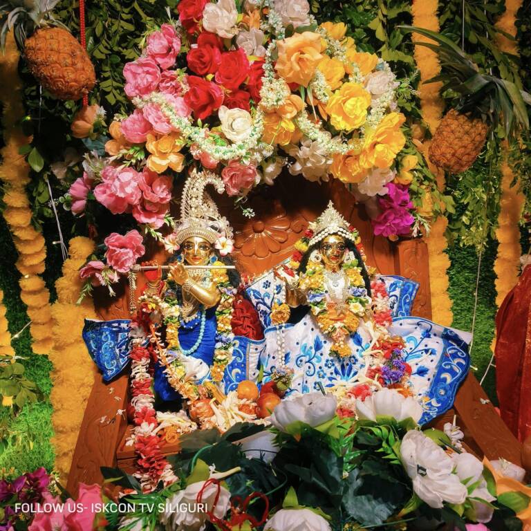 Jhulan Yatra1 768x768