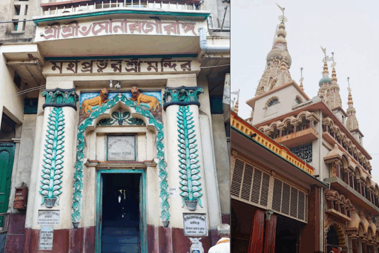 Sonar gouranga2 768x512