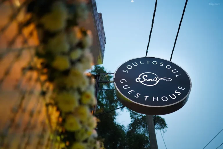 soul to soul 2 768x512