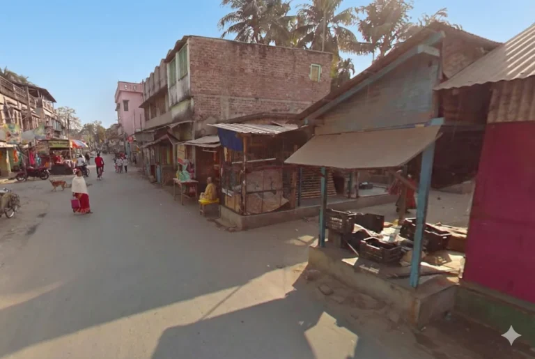 prachin mayapur bazar1 768x515