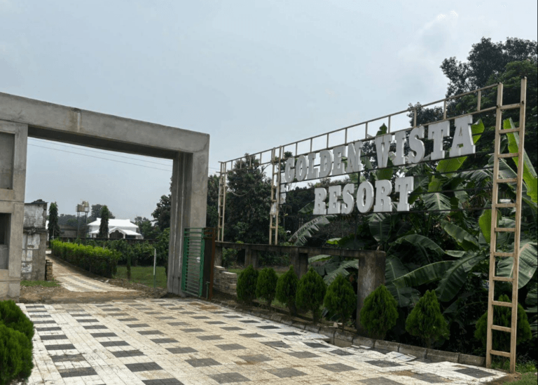 Screenshot 2026 02 11 181651 768x549